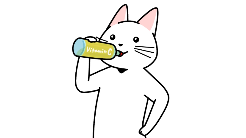 ペットボトルのビタミン飲料を飲む猫のイラスト