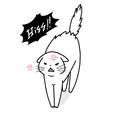 怒っている猫のイラスト